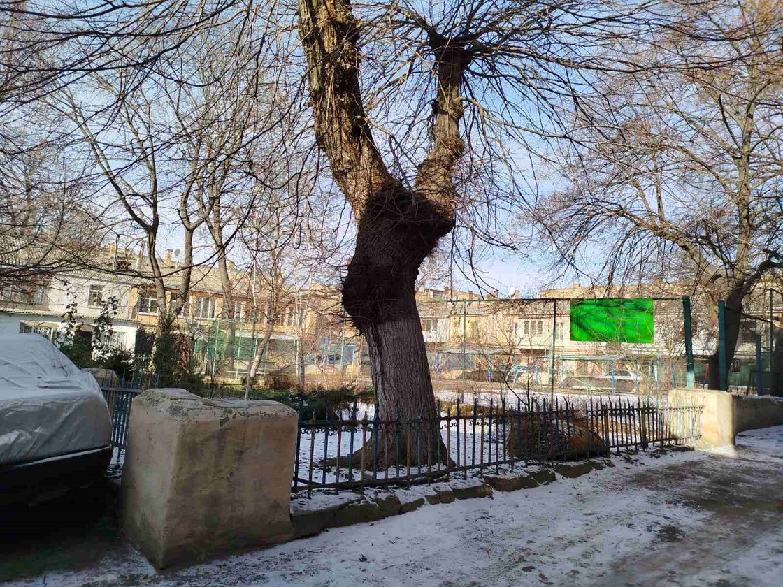 продажа двухкомнатной квартиры номер A-173410 в Приморском районе, фото номер 18